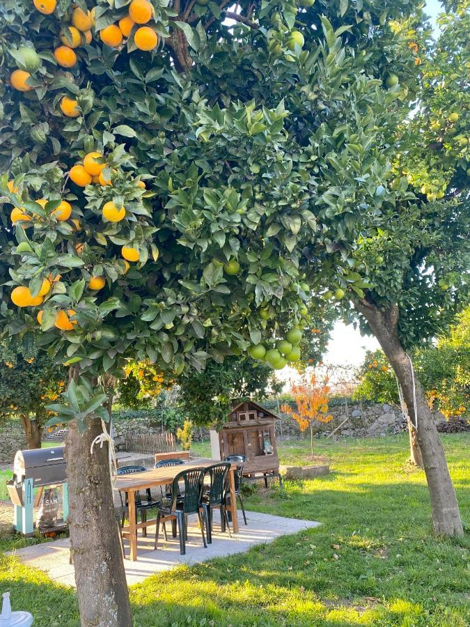 Apartment Quinta De Areias Crespos Εξωτερικό φωτογραφία