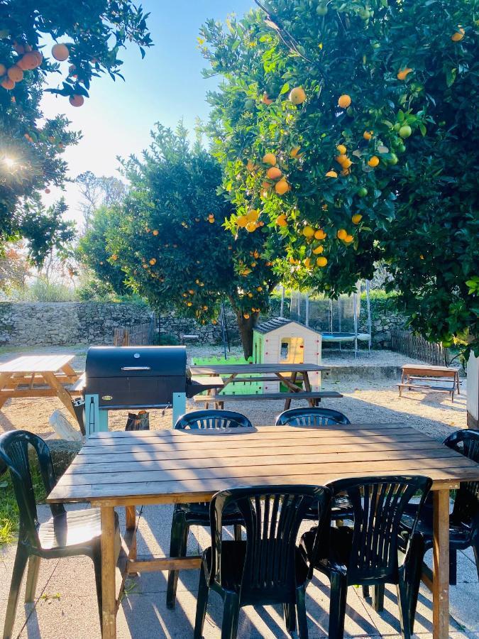 Apartment Quinta De Areias Crespos Εξωτερικό φωτογραφία