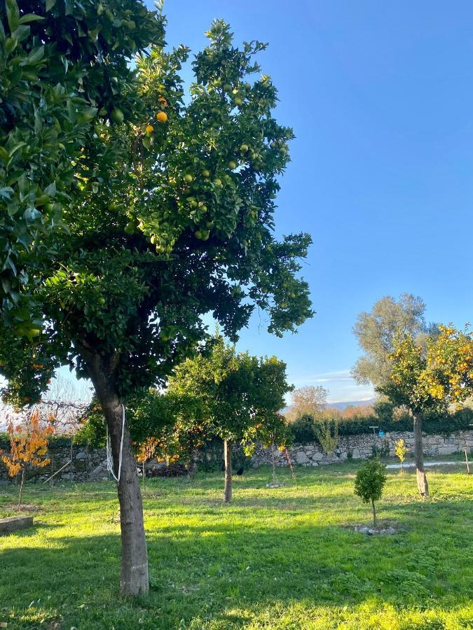 Apartment Quinta De Areias Crespos Εξωτερικό φωτογραφία